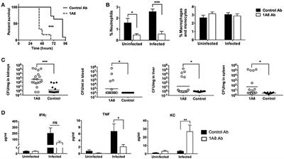 Innate Immune Interactions between Bacillus anthracis and Host Neutrophils